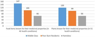 Health Implications of Diverse Visions of Urban Spaces: Bridging the Formal-Informal Divide